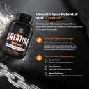 creatine-pills-5g-creatine-monohydrate-c-819VEuzCBRL.jpg