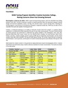 bear-balanced-creatine-gummies-for-men-w-618RO2JAWTL.jpg