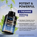 l-theanine-400-mg-l-theanine-for-stress--817m80SXKdL.jpg