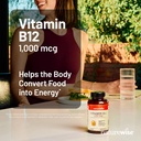 naturewise-vitamin-b12-1000-mcg-dietary--81zpQ8L1uyL.jpg
