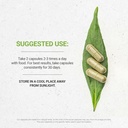 secrets-of-the-tribe-spearmint-capsules--2.jpg
