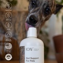 ion-intelligence-of-nature-gut-support-f-6.jpg