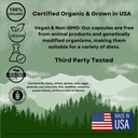 organic-lions-mane-mushroom-capsules---1-3.jpg