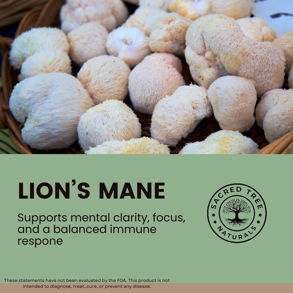 organic-lions-mane-mushroom-capsules---1-5.jpg