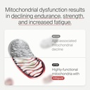 timeline-mitopure-urolithin-a-supplement-3.jpg