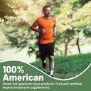 aloha-medicinals-lions-mane-certified-or-4.jpg