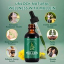 2-pcs-organic-liquid-mullein-extract-sup-4.jpg