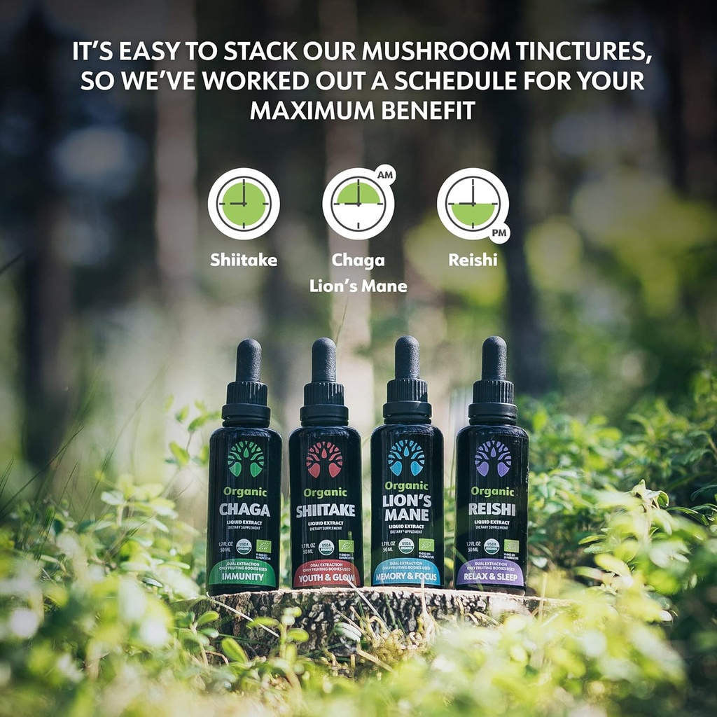 loov-organic-reishi-mushroom-supplement--6.jpg