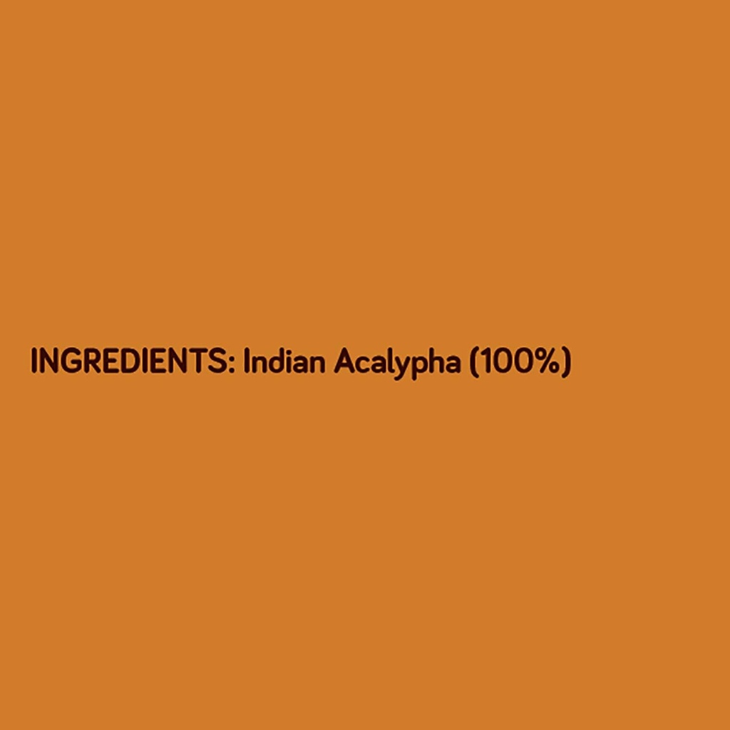 killi-kuppaimeni-indian-acalypha-indian--5.jpg