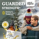 wild-organic-maitake-mushroom-tincture-4-2.jpg