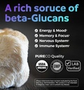 turmeric-lions-mane-1-month-supply-mindf-6.jpg