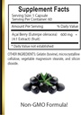acai-berry-extract---anti-oxidant-rich-n-5.jpg