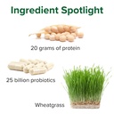 vibrant-health-maximum-vibrance-plant-ba-4.jpg