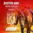 biotin-800-powder-4.jpg
