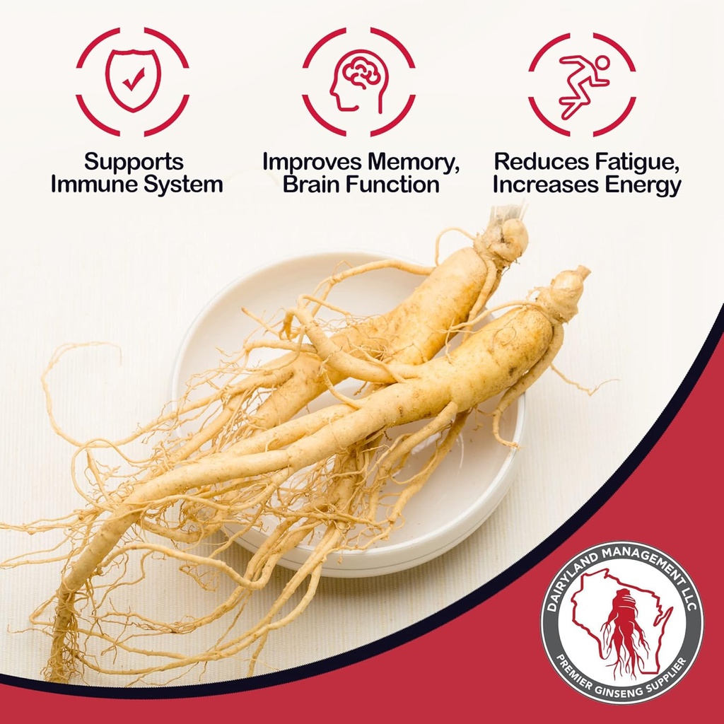 dairyland-american-ginseng-roots-16-oz-a-2.jpg