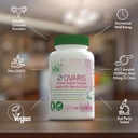 health-thru-nutrition-ovaris-ovarian-hea-3.jpg