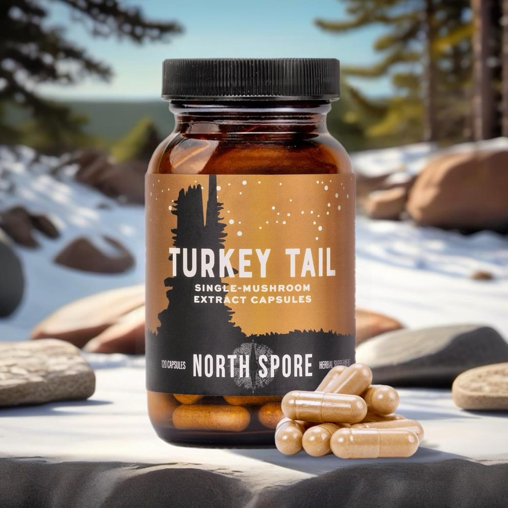 north-spore-organic-turkey-tail-extract--2.jpg