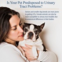 rx-vitamins-cranberry-pills-for-dogs---c-5.jpg