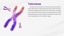 daily-multi-vitamin-vit-a-c-b1-b2-b3-b5--3.jpg