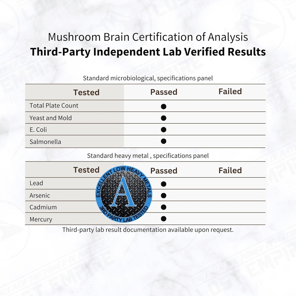 lost-empire-herbs-mushroom-brain-spagyri-2.jpg