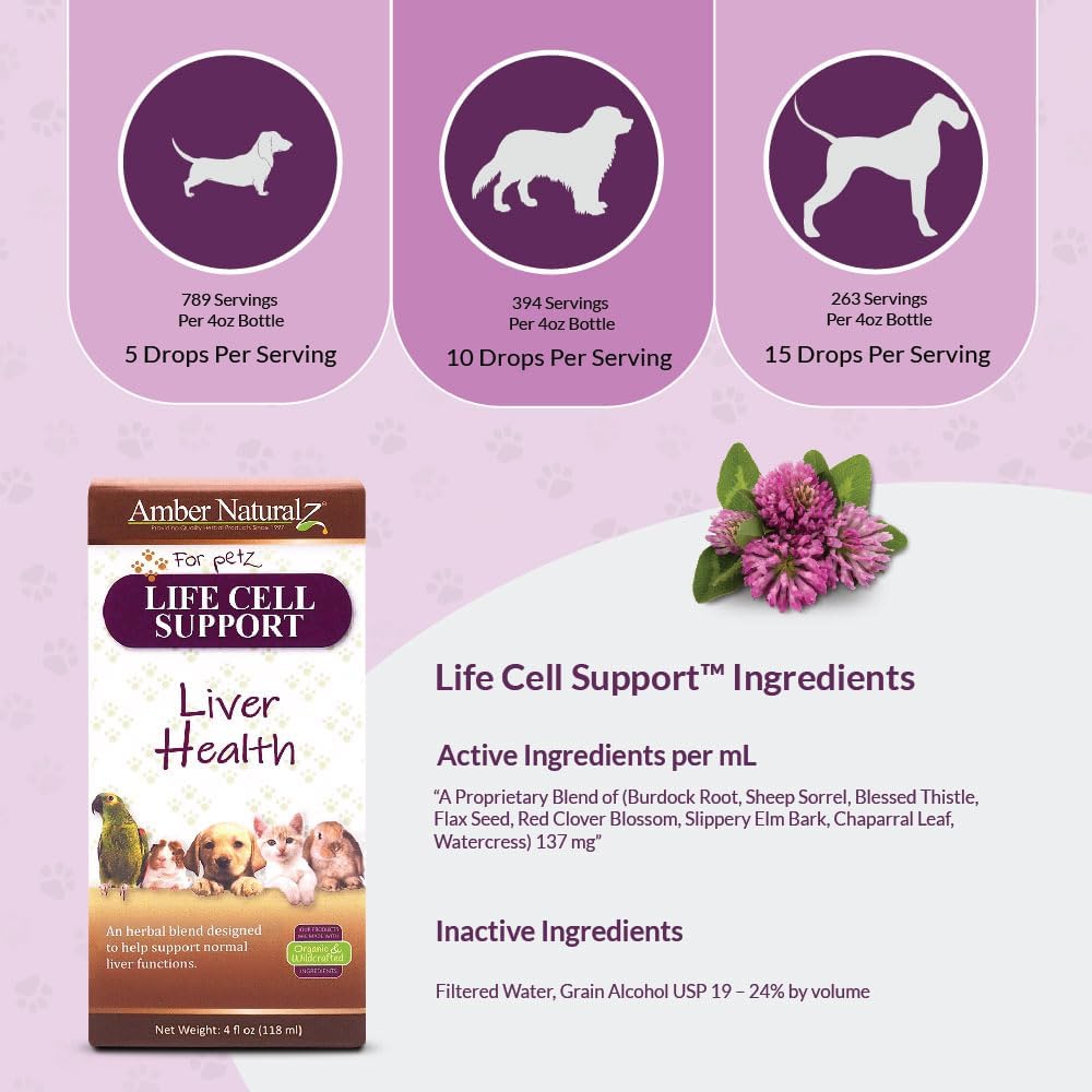 amber-naturalz-life-cell-support-herbal--4.jpg