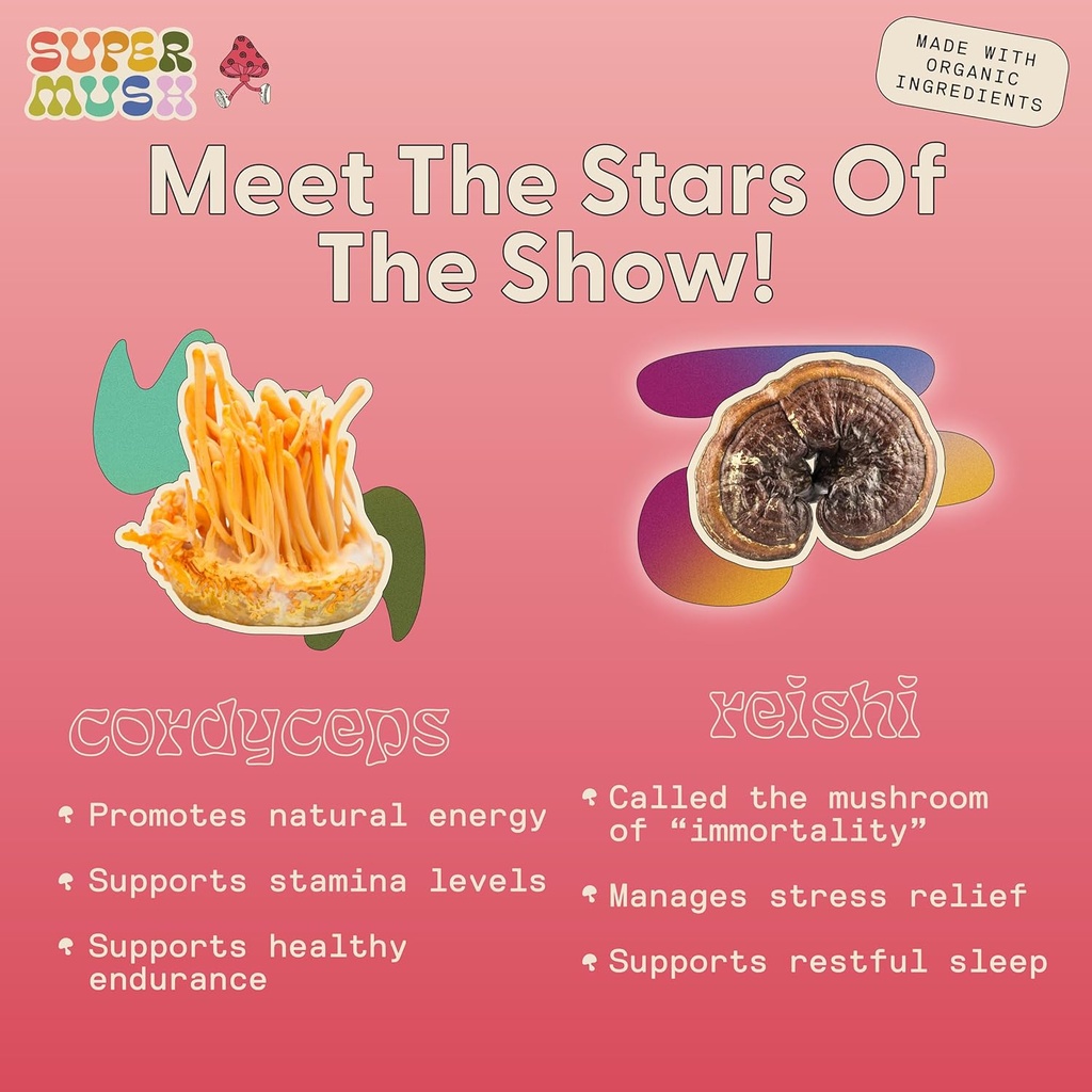 supermush-daily-creativity-and-connectio-5.jpg