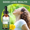 mullein-drops-for-lungs-mullein-leaf-ext-6.jpg