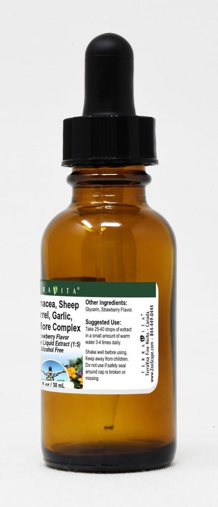 terravita-echinacea-sheep-sorrel-garlic--3.jpg