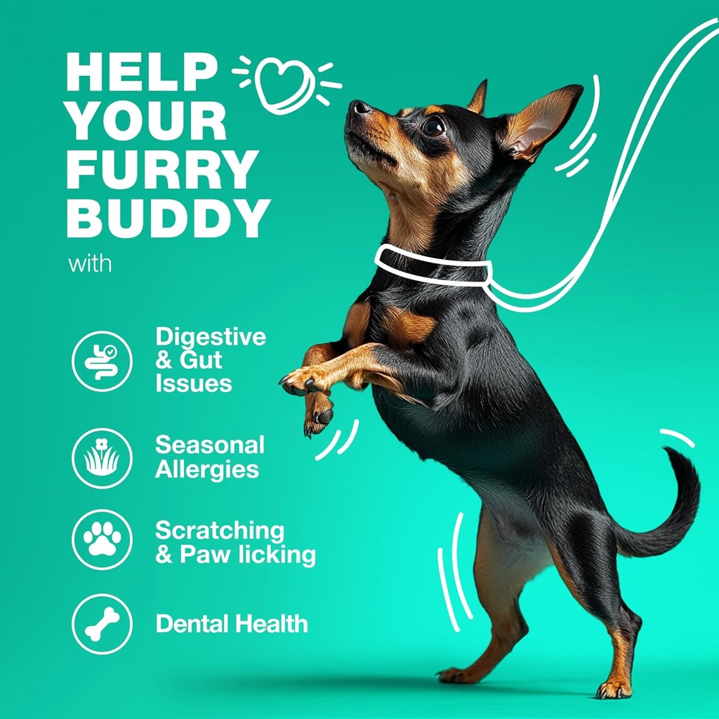 probiotics-for-dogs---support-gut-health-4.jpg