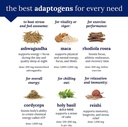 the-vitamin-shoppe-mushroom-complex-mait-4.jpg