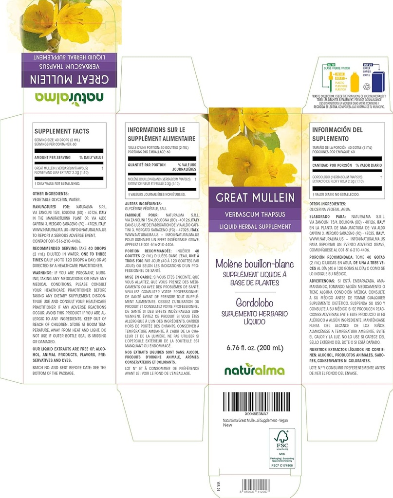 naturalma-great-mullein-or-common-mullei-2.jpg