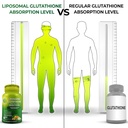 supplements-studio-antioxidant-cellular--3.jpg