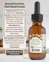rawguru-vitamin-k2-supplement---organic--3.jpg