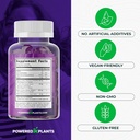 saffron-extract-gummies-with-passionflow-5.jpg
