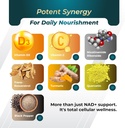 grimed-nad-boosting-16550mg--x12-power-w-5.jpg