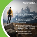 naturesplus-hema-plex-iron---30-slow-rel-3.jpg