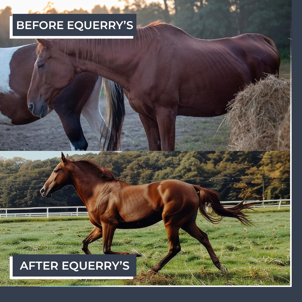 equerrys-combined-rx-40-feedings-for-100-6.jpg
