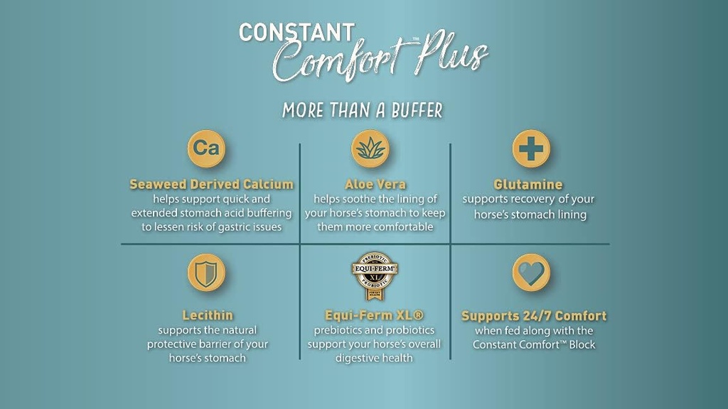 constant-comfort-plus-topdress-gut-healt-4.jpg