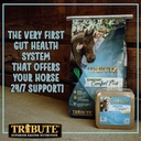 constant-comfort-plus-topdress-gut-healt-6.jpg