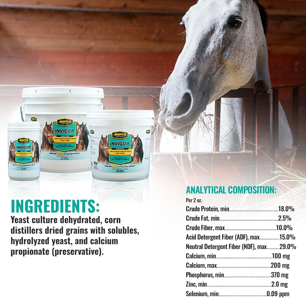 adeptus-nutrition-invigor-equine-digesti-3.jpg