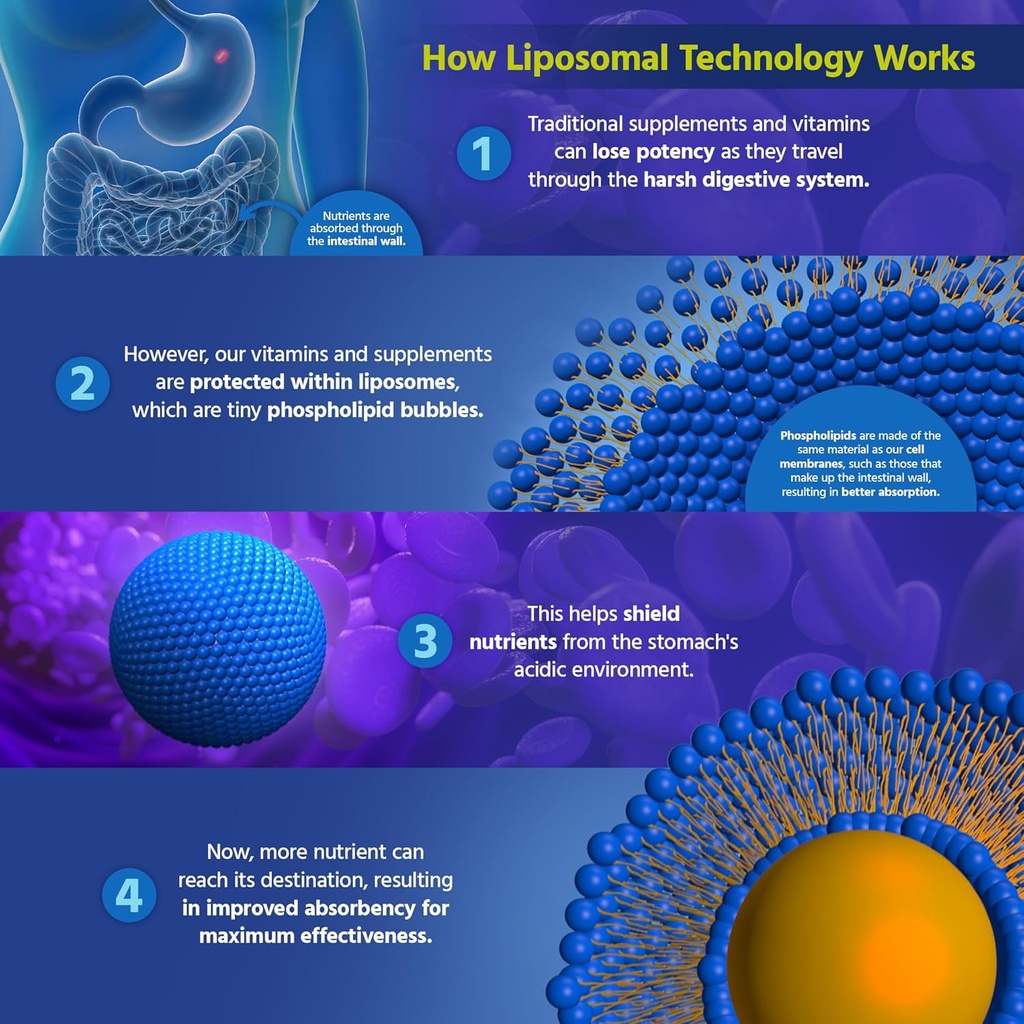 core-med-science-liposomal-alc-r-ala-sup-6.jpg