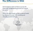 north-american-herb-spice-h2orega---1-fl-6.jpg