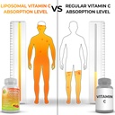 immune-energy-comprehensive-multi-system-3.jpg