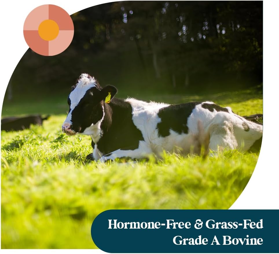 pattern-wellness-collagen-peptides-powde-4.jpg