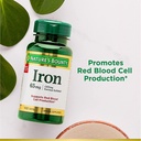 iron-65mg-325-mg-ferrous-sulfate-100-tab-2.jpg