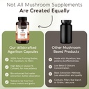longevity-botanicals-agarikon-mushroom-e-6.jpg