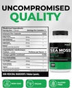 renew-actives-sea-moss-triple-action-ant-5.jpg