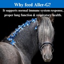 su-per-aller-g-respiratory-support-for-h-5.jpg