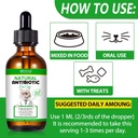 antibiotics-for-cats-premium-cat-antibio-6.jpg