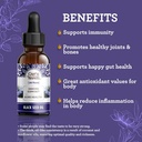gurunanda-wellness-bundle-liquid-ashwaga-3.jpg